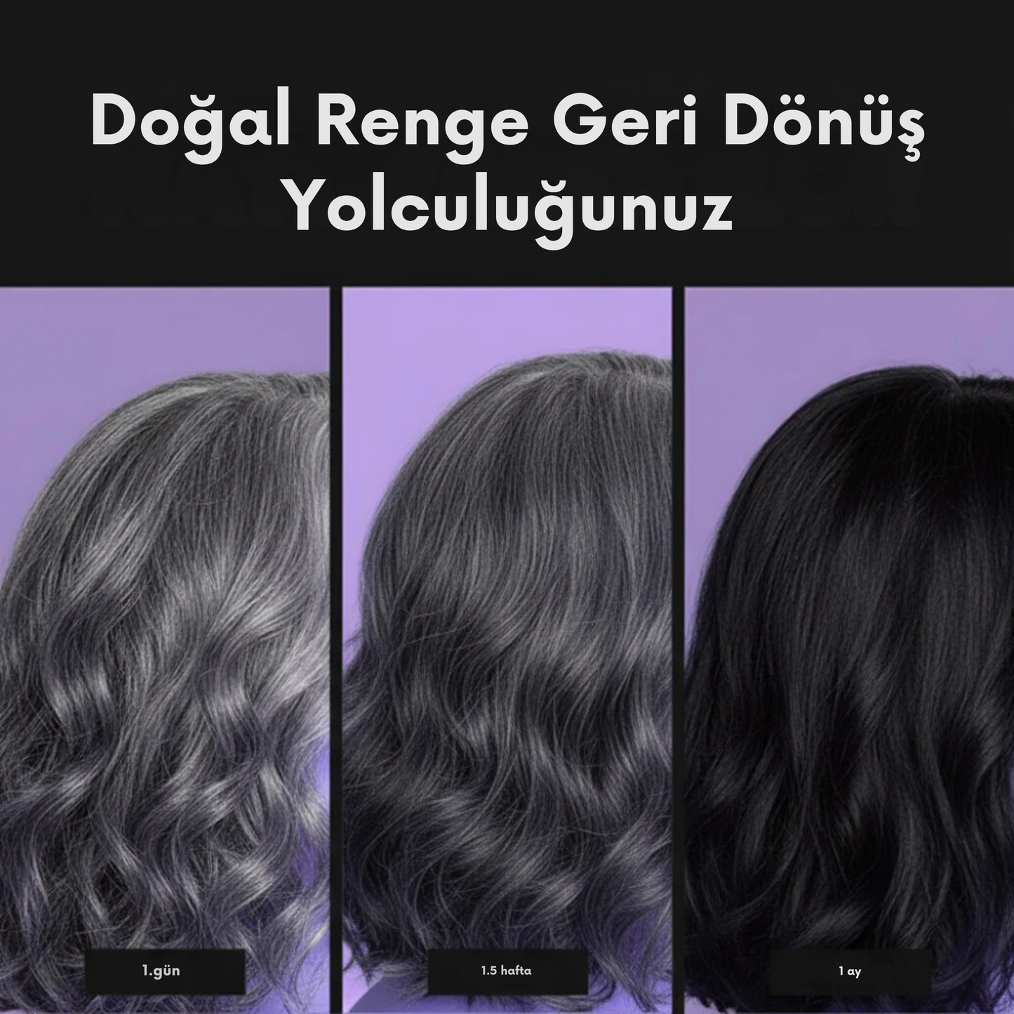 Color Revival Bar